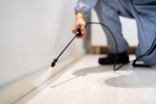 Licensed Fumigation Services service in Madill, OK - Nex Pest Control