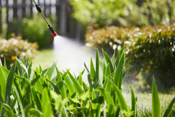 24/7 Emergency Fumigation Services experts in Madill, OK