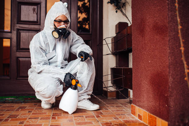 Reliable Fumigation Services contractor in Madill, OK by Nex Pest Control